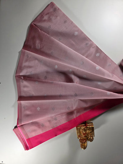 Blushing rose Kuberapattu